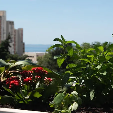 Sunnyrose Apartment - Walking Distance From Znjan Beach - Free Public Parking - Huge Balcony Split Exterior photo